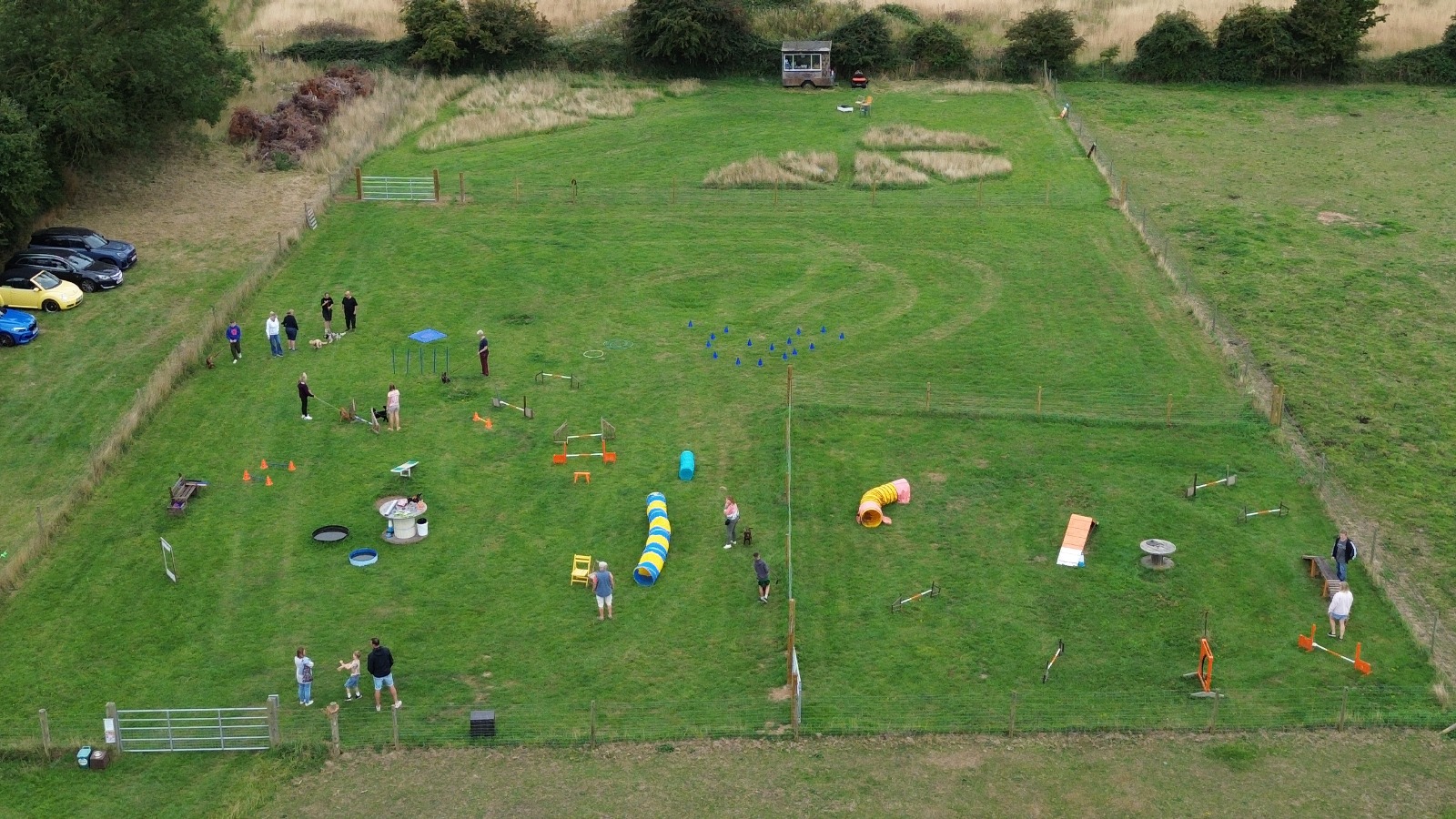 Aerial view of dogs and owners training on the field