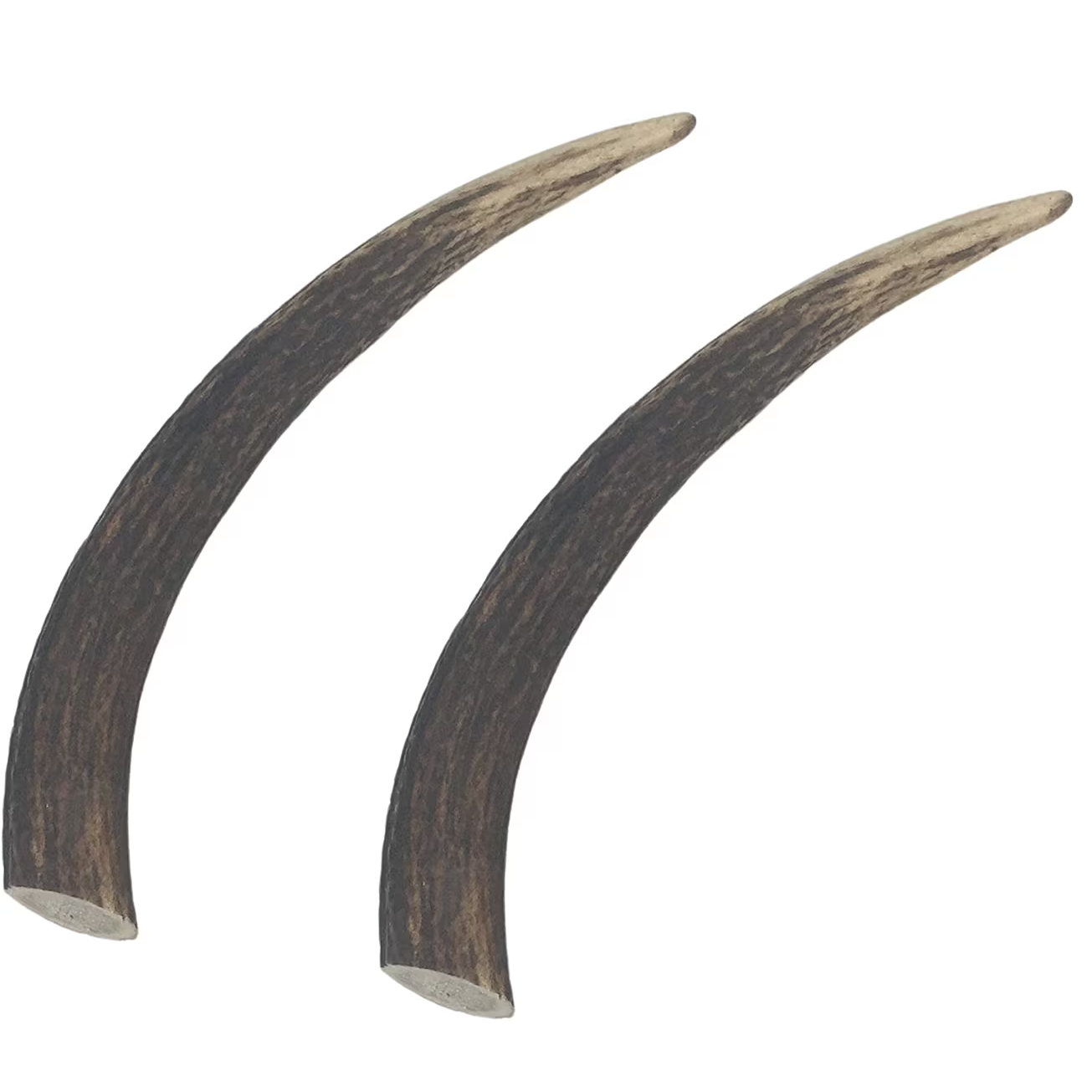 Antler Chew (Large)