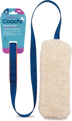 Coachi Chase & Crinkle Dog Toy