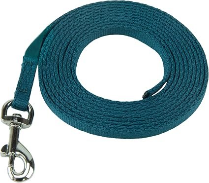 Coachi Puppy & Mini Indoor Training Line