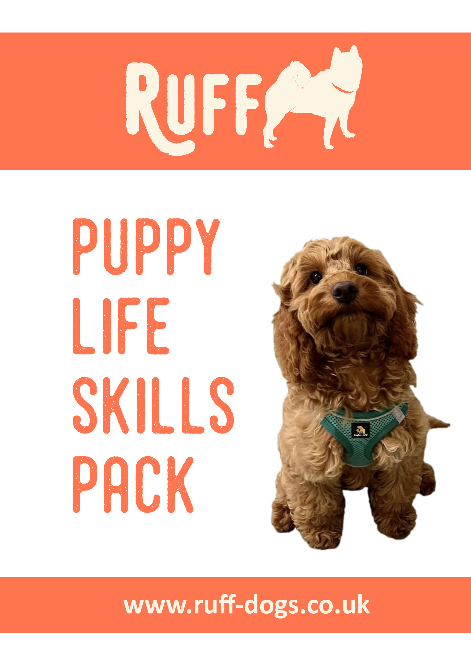 Puppy Life Skills Pack cover