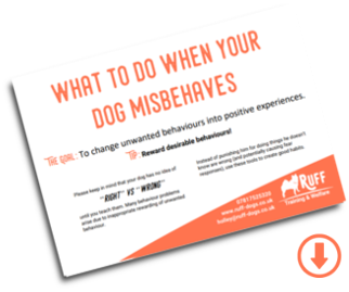 What to Do When Your Dog Misbehaves cover
